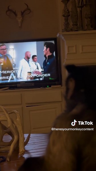 Lacy's Daily Routine: Snacks, TV, and Birthday Presents