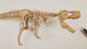 12K views · 200 reactions | Amazing 3D Pen T-Rex sculpture by 3D Pen Lab 練✍ #3D #3dpen #3dprinting #dinosaur #dino #trex #art #drawing #sculpture | 3D Pen Lab | Facebook