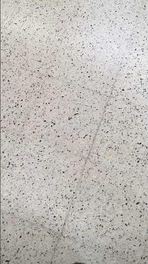 Sainsbury’s Fire Alarm Test - Apollo Discovery