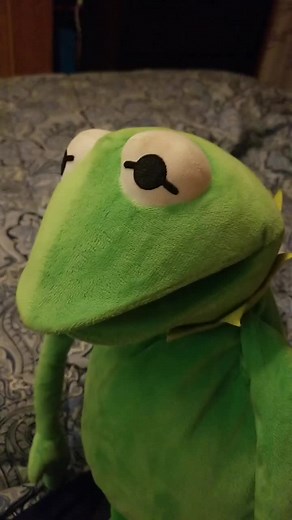 Kermit the Frog Memes Compilation