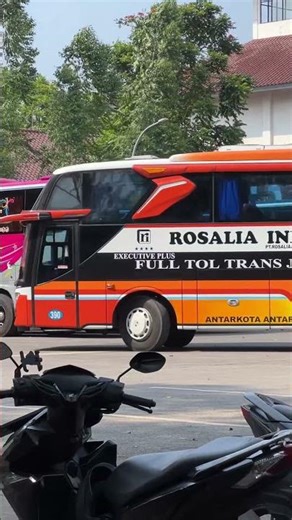 Aktivitas terminal Poris Siang Hari