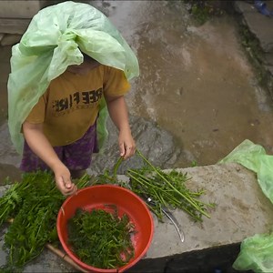 12K views · 175 reactions | Village life Vlog-Green Fiddlehead Recipe cooking _ eating with Rice in Village kitchen#Episode1 | Village Countryside of Nepal | Facebook
