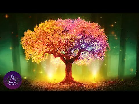 Anxiety Healing Music | Feel Safe & Secure Again | Let go of Fear & Worries | Root Chakra Frequency