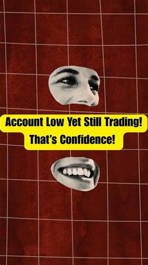 Wealth Builders Institute Exposed: The Truth Behind Todd Rampe's Trading Program