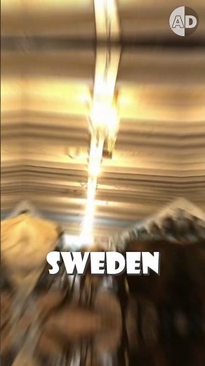 Cows Jump for First Day Out of the Barn! #animal#Naturelovers #animalworld