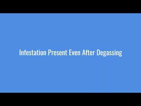 Storage - SILO Quality Operations Flow