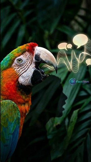 Can This Bird Copy Your Voice Perfectly?! 😲#animalfacts #shortvideo #shorts