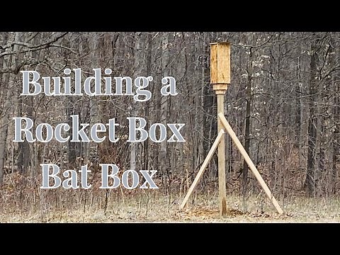 Building a Rocket Box (for bats) | Birdie & The Bees Farm