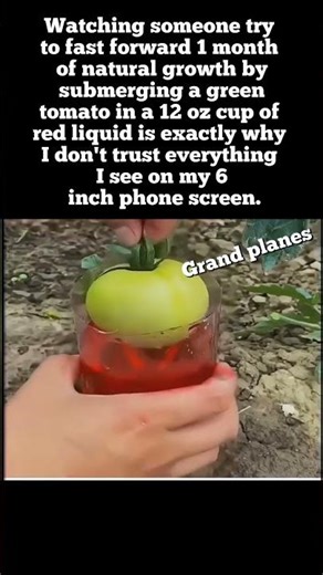 Mother Nature Is NOT Impressed 🌪️ Humans vs Nature Gone Wrong! #MotherNature