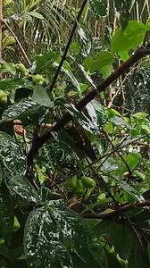 Start with Positivity, Shape Your Day . . . . . . #motivationalspeechforsuccessinlife #NewYearSalesEvent #positivethinking #inspirational | Life And Motivation