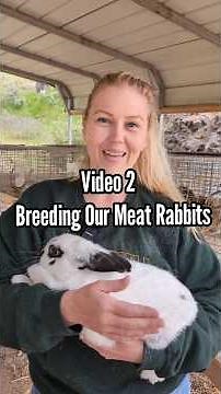 How We Breed Meat Rabbits | Rabbit Grow-Out Series Ep. 2