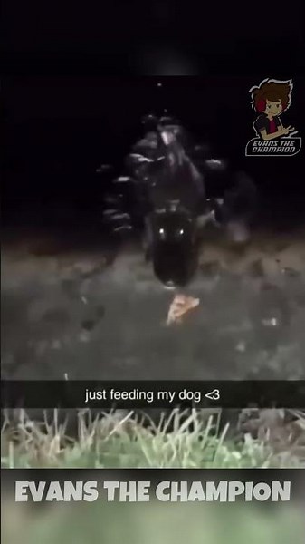 🔴Feeding my puppy❤️ 🌀Spanish Parody🌀[Parody in Spanish] #parody #memes #humor #fandub