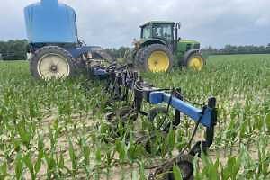 Fertigation and sidedress nitrogen applications can protect farm profits and the environment