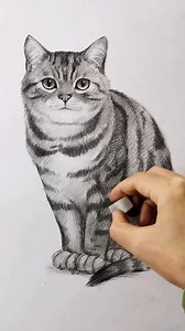 Pencil drawing tutorial of a cat by artist KK (Douyin) — a beautifully detailed study that demonstrates patience, observation, and control. Fine line work and careful shading build soft fur textures and expressive eyes, bringing the subject to life with quiet realism. Artist: KK (Douyin) #pencildrawing #drawingtutorial #animaldrawing #catdrawing #sketching | Graphite Masters