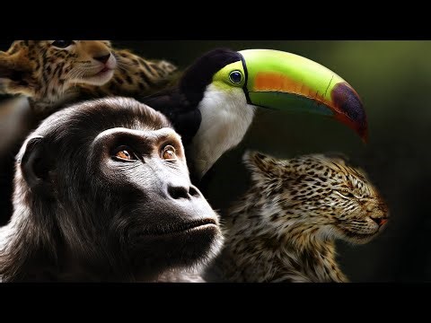 Top 5 Amazing Facts and Interesting Knowledge About Animals
