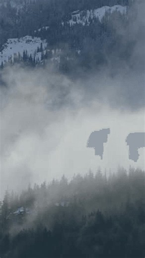 clip-4147192691-foggy-mountain-forest-scene-winter-majestic-view