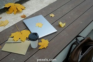 Free Black Man Going To Work Videos