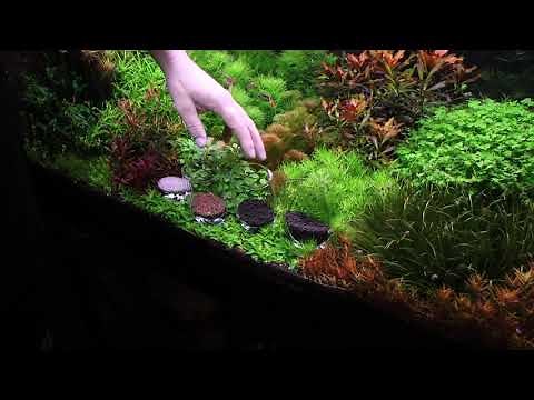 Növényes akváriumban használható talajok 1.rész.