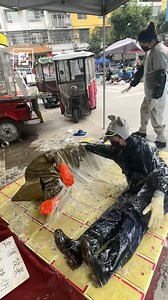 That's Why You Should Not Use Sticky Mouse Traps!