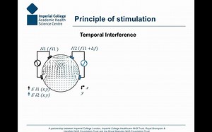 Nir Grossman | Temporal Interference (TI) noninvasive deep brain stimulation
