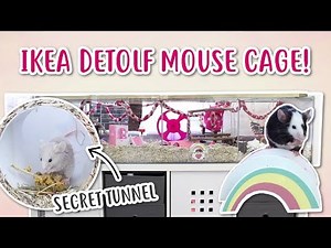 HUGE MOUSE CAGE TOUR!