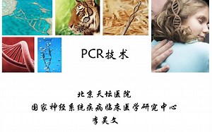 【科研技能公开课第十讲】PCR技术介绍