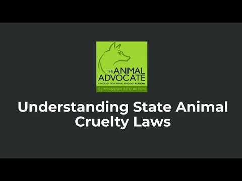 Understanding State Animal Cruelty Laws