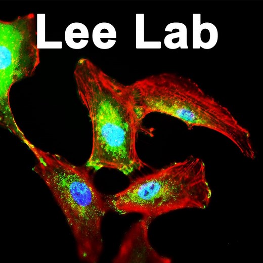 Ethan  Lee, M.D. PhD