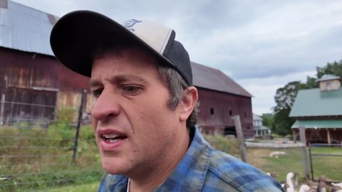 Harvesting chestnuts after eight years of patient work