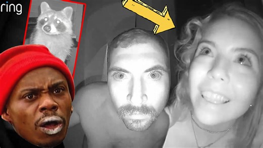 50K views · 421 reactions | Strange & Unexpected Visitors (Caught on...