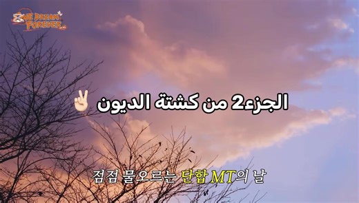 ‏#ald1 #alphadriveone #اكسبلور #سبسكرايب #كشته