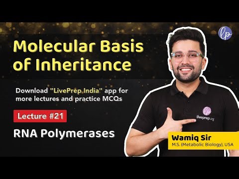 RNA Polymerases (Prokaryotes vs Eukaryotes) - Molecular Basis of Inheritance by Wamiq Sir