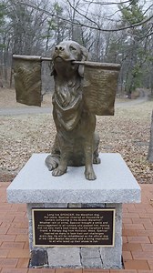 Mile 2 of the Boston Marathon has a statue in memory of Spencer, the official dog of the Boston Marathon, who cheered on thousands of runners for years. Spencer passed away after a battle with cancer at 13 years old. 💛💙 | Only In Boston