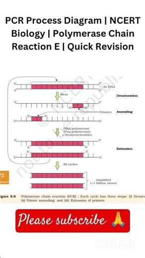 PCR Process Diagram | NCERT Biology | Polymerase Chain Reaction | Quick Revision#pcr #diagram #ncert