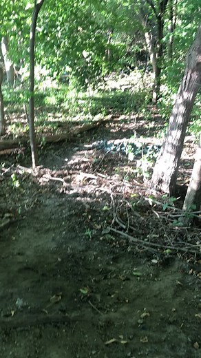 Ima get my get back #fyp #ReTokforNature #capguns #foryou #foryoupage