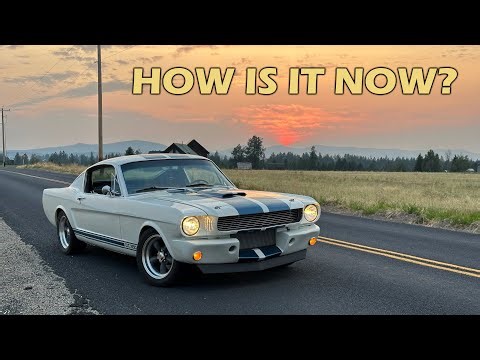 Parts Review and Future Plans for 1966 Mustang