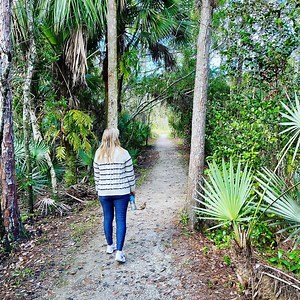 8 of the Best Hikes In Palm Beach County
