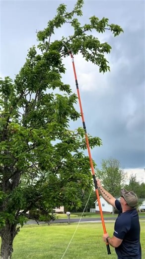  Uitschuifbare Handzaag (7–8 meter) Snoei takken veilig vanaf de...