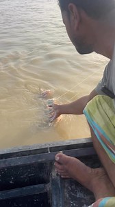 1.8M views · 8.9K reactions | the man catching fish with hand from the padma river #fishing #fishingvideos #handfishing | Fishing Life With Rijvi | Facebook