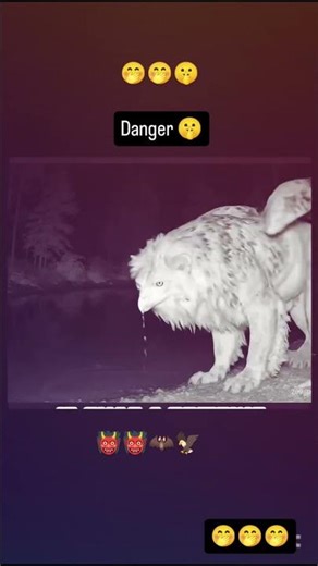 char pair wala ullu#shortvideo #vairal #funny #video #vairal 😲😲