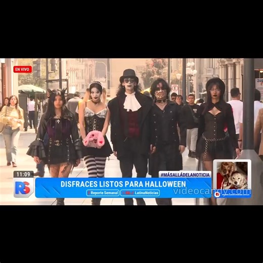 283 reactions · 15 shares | Referente en Ropa Alternativa en Lima Jirón de la unión Galería Vía Véneto tienda 201 a lado de Bembos segundo piso #ropaaesthetic #dark #aesthetic #goth #ModaAlternativa #peru | Acid Rules | Facebook