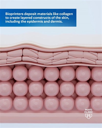 9.1K views · 84 reactions | Skin is structured in three distinct...