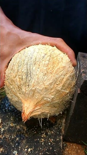 Nice technique removing dry coconut from its shell