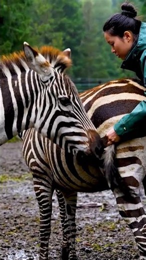 🌍🦓 Why Tails Matter More Than You Think