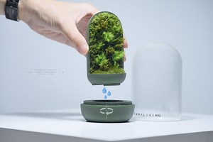 Cryomoss Live Moss Terrarium: the Time Capsule (S) - Mini Ecosystem Desk Decor by Terraliving - Etsy