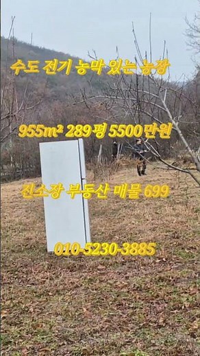 매물 699 # 진소장 부동산 #의성부동산 #군위부동산 #안동부동산 #의성 땅 매매 #군위 땅 매매 #과수원 매매 #촌집 매매 #임야 매매