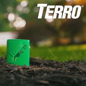 45K views | Stop ants outdoors before they make their way inside your home with TERRO Outdoor Ant Bait Stakes! | TERRO | Facebook