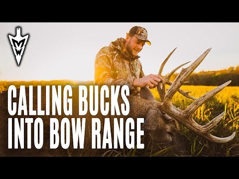 Calling Bucks Into Bow Range | Pre-Rut Deer Hunting | Midwest Whitetail