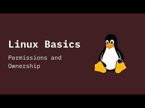 Linux Basics : #7 Permissions and Ownership