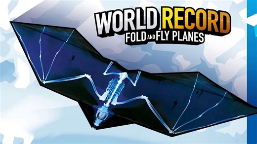 【Foldable Flight】简单的飞机 085纸教程